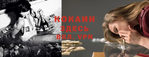 твердый Михайловск