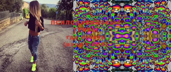 спайс Михайлов