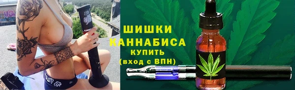 гашик Богданович