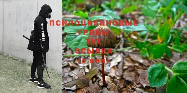 спайс Михайлов