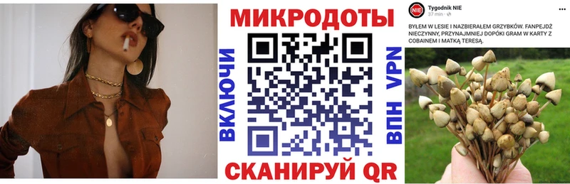 Галлюциногенные грибы прущие грибы  как найти закладки  Златоуст 