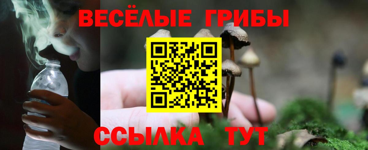 Галлюциногенные грибы Cubensis  Златоуст 