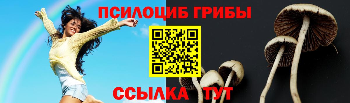 Галлюциногенные грибы мицелий Златоуст